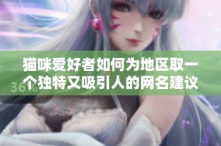 猫咪爱好者如何为地区取一个独特又吸引人的网名建议