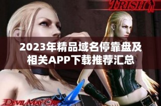 2023年精品域名停靠盘及相关APP下载推荐汇总