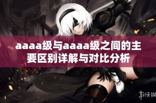 aaaa级与aaaa级之间的主要区别详解与对比分析