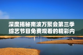 深度揭秘南波万聚会第三季综艺节目免费观看的精彩内容与看点