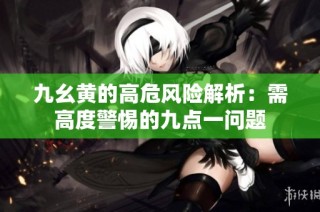 九幺黄的高危风险解析：需高度警惕的九点一问题