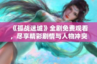 《孤战迷城》全剧免费观看，尽享精彩剧情与人物冲突