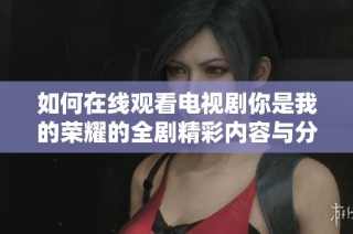 如何在线观看电视剧你是我的荣耀的全剧精彩内容与分析