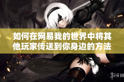如何在网易我的世界中将其他玩家传送到你身边的方法介绍