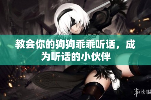 教会你的狗狗乖乖听话，成为听话的小伙伴