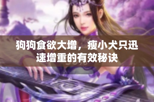 狗狗食欲大增，瘦小犬只迅速增重的有效秘诀