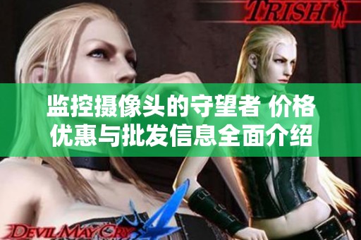 监控摄像头的守望者 价格优惠与批发信息全面介绍