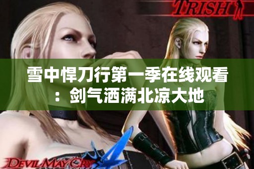 雪中悍刀行第一季在线观看：剑气洒满北凉大地