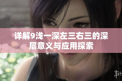 详解9浅一深左三右三的深层意义与应用探索