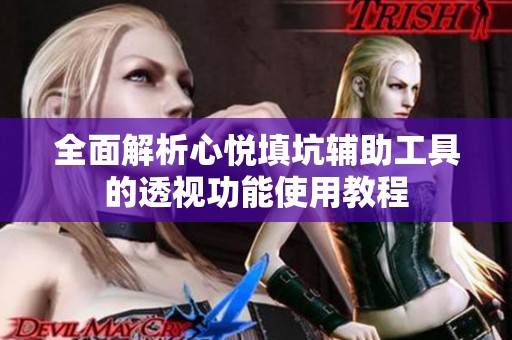 全面解析心悦填坑辅助工具的透视功能使用教程