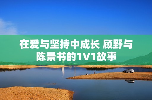 在爱与坚持中成长 顾野与陈景书的1V1故事