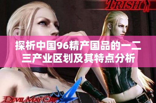 探析中国96精产国品的一二三产业区划及其特点分析