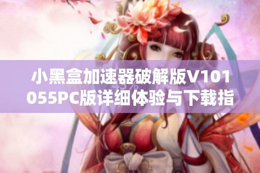 小黑盒加速器破解版V101055PC版详细体验与下载指南