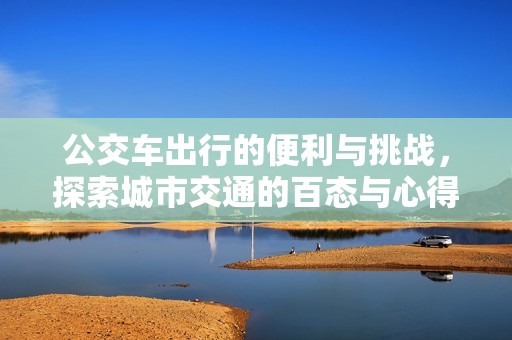 公交车出行的便利与挑战，探索城市交通的百态与心得
