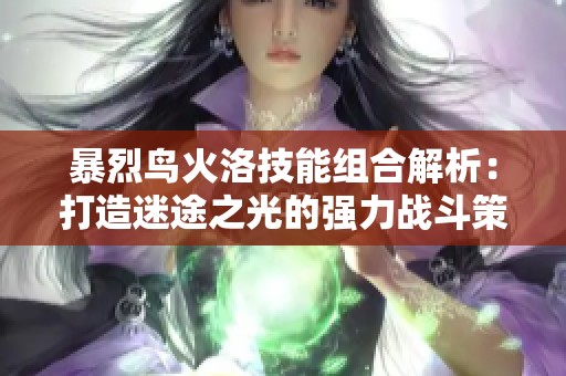 暴烈鸟火洛技能组合解析：打造迷途之光的强力战斗策略