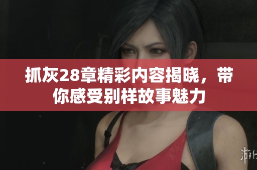 抓灰28章精彩内容揭晓，带你感受别样故事魅力