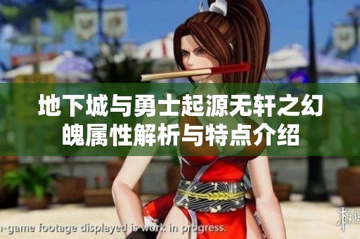 地下城与勇士起源无轩之幻魄属性解析与特点介绍