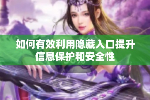 如何有效利用隐藏入口提升信息保护和安全性