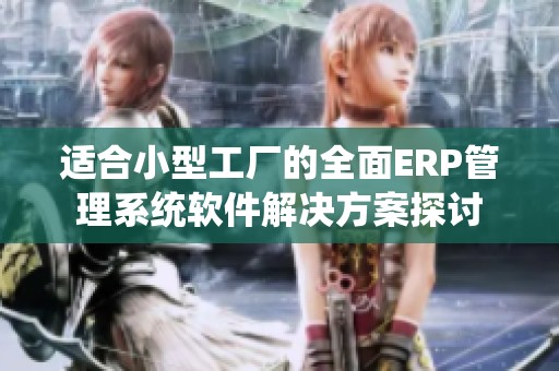 适合小型工厂的全面ERP管理系统软件解决方案探讨