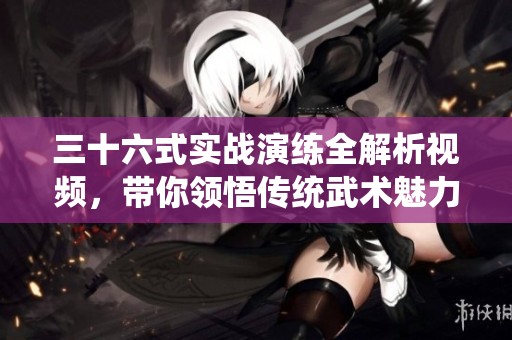 三十六式实战演练全解析视频，带你领悟传统武术魅力