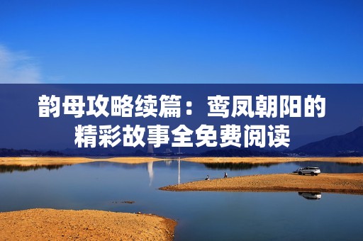韵母攻略续篇：鸾凤朝阳的精彩故事全免费阅读