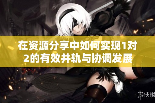 在资源分享中如何实现1对2的有效并轨与协调发展