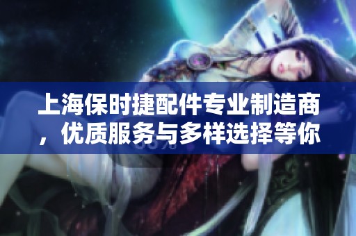 上海保时捷配件专业制造商，优质服务与多样选择等你来发现
