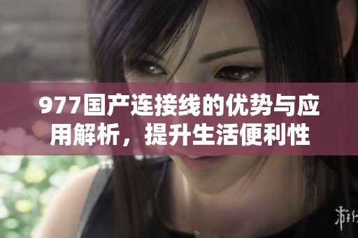 977国产连接线的优势与应用解析，提升生活便利性