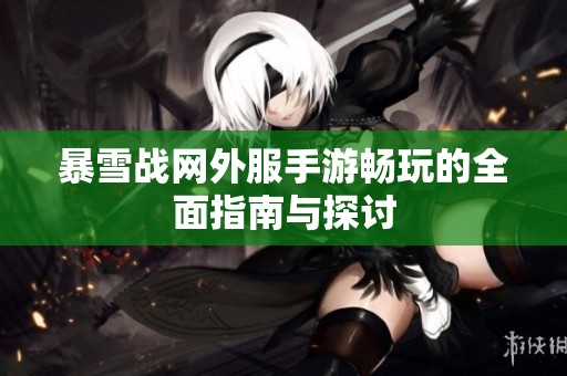 暴雪战网外服手游畅玩的全面指南与探讨