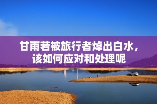 甘雨若被旅行者焯出白水，该如何应对和处理呢