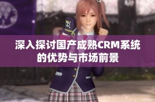 深入探讨国产成熟CRM系统的优势与市场前景