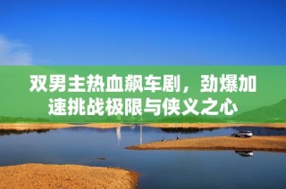 双男主热血飙车剧，劲爆加速挑战极限与侠义之心