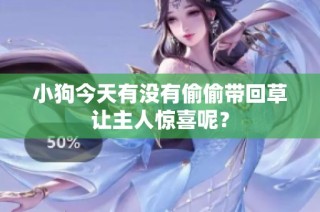 小狗今天有没有偷偷带回草让主人惊喜呢？