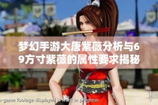 梦幻手游大唐紫薇分析与69方寸紫薇的属性要求揭秘