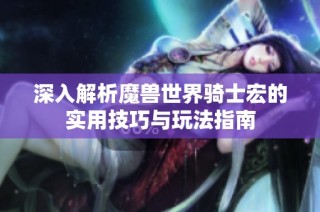 深入解析魔兽世界骑士宏的实用技巧与玩法指南