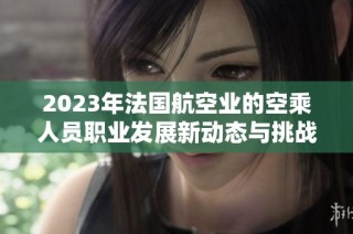 2023年法国航空业的空乘人员职业发展新动态与挑战