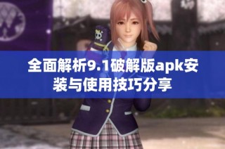 全面解析9.1破解版apk安装与使用技巧分享