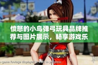 愤怒的小鸟弹弓玩具品牌推荐与图片展示，畅享游戏乐趣