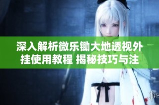 深入解析微乐锄大地透视外挂使用教程 揭秘技巧与注意事项