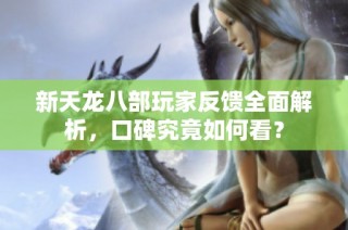 新天龙八部玩家反馈全面解析，口碑究竟如何看？