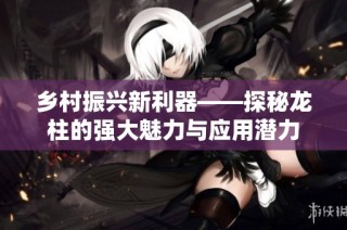 乡村振兴新利器——探秘龙柱的强大魅力与应用潜力