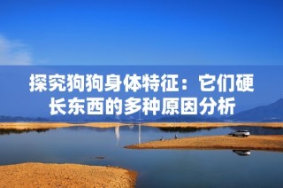 探究狗狗身体特征：它们硬长东西的多种原因分析