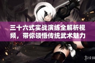 三十六式实战演练全解析视频，带你领悟传统武术魅力