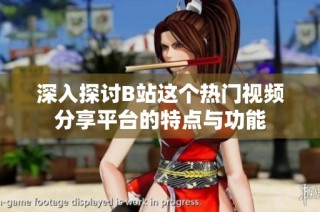 深入探讨B站这个热门视频分享平台的特点与功能