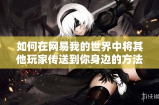 如何在网易我的世界中将其他玩家传送到你身边的方法介绍