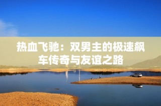 热血飞驰：双男主的极速飙车传奇与友谊之路