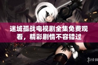 迷城孤战电视剧全集免费观看，精彩剧情不容错过