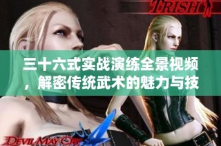 三十六式实战演练全景视频，解密传统武术的魅力与技巧