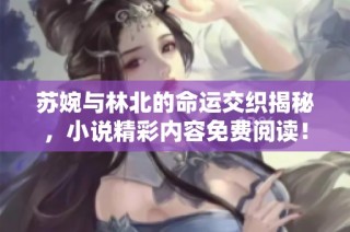 苏婉与林北的命运交织揭秘，小说精彩内容免费阅读！