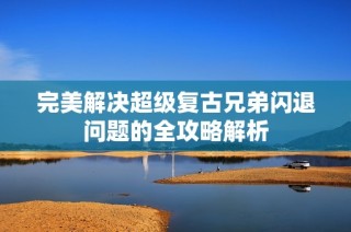 完美解决超级复古兄弟闪退问题的全攻略解析